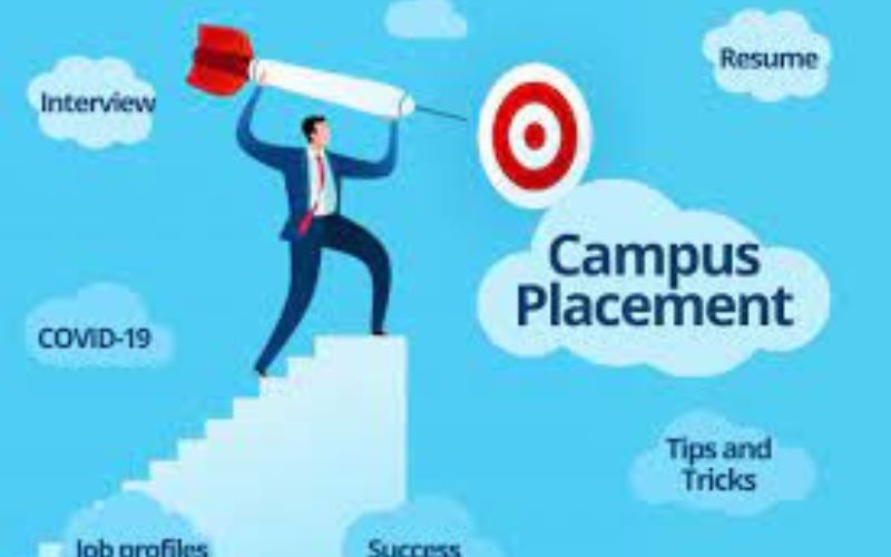 Post-Campus Placement: Navigating Job Searches