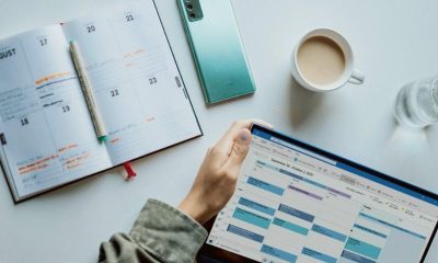 Project Scheduler: Job Overview and Remuneration